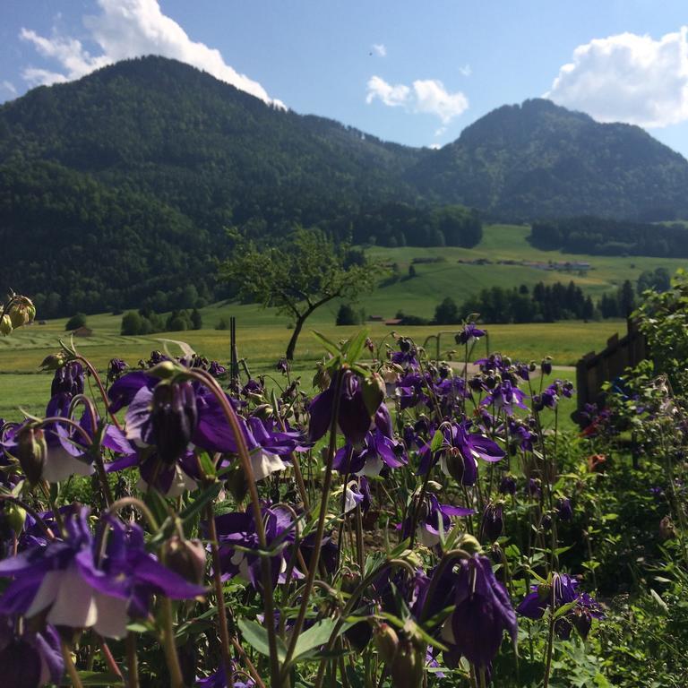 Willa Schifterhof Ruhpolding Zewnętrze zdjęcie