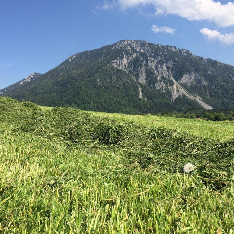 Willa Schifterhof Ruhpolding Zewnętrze zdjęcie